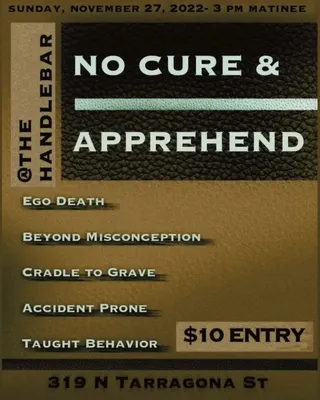 Show flyer, no cure, apprehend +5, Pensacola FL, Nov 27, 2022