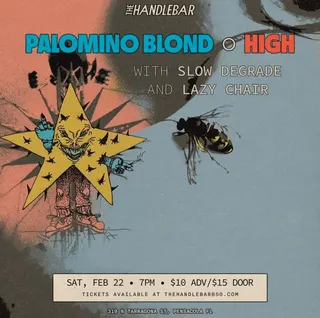 Show flyer, palomino blond, high +2, Pensacola FL, Feb 22, 2025